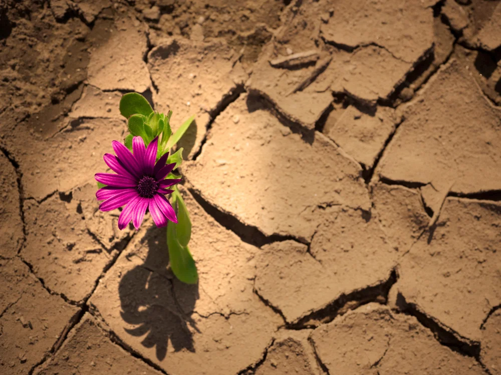 megküzdés a stressz ellen